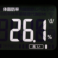 体脂肪率測定値11日目