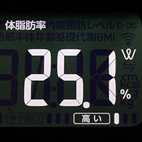体脂肪率測定値37日目