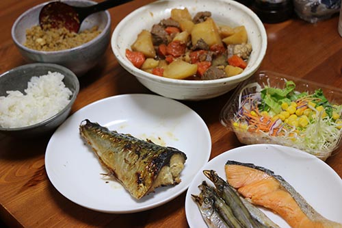 さば・鮭・ししゃも・肉じゃが・いりこ・サラダの朝食