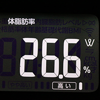 体脂肪率測定値13日目
