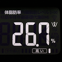 体脂肪率測定値15日目