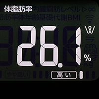 体脂肪率測定値19日目