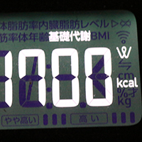 基礎代謝測定値42日目