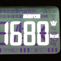 基礎代謝測定値52日目