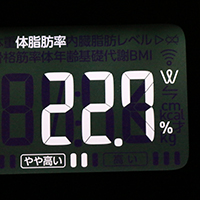 体脂肪率測定値53日目