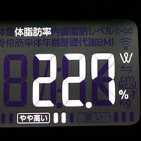 体脂肪率測定値54日目