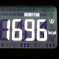基礎代謝測定値43日目