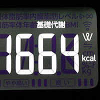 基礎代謝測定値61日目