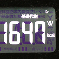基礎代謝測定値65日目