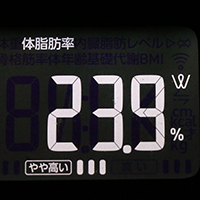 体脂肪率測定値44日目